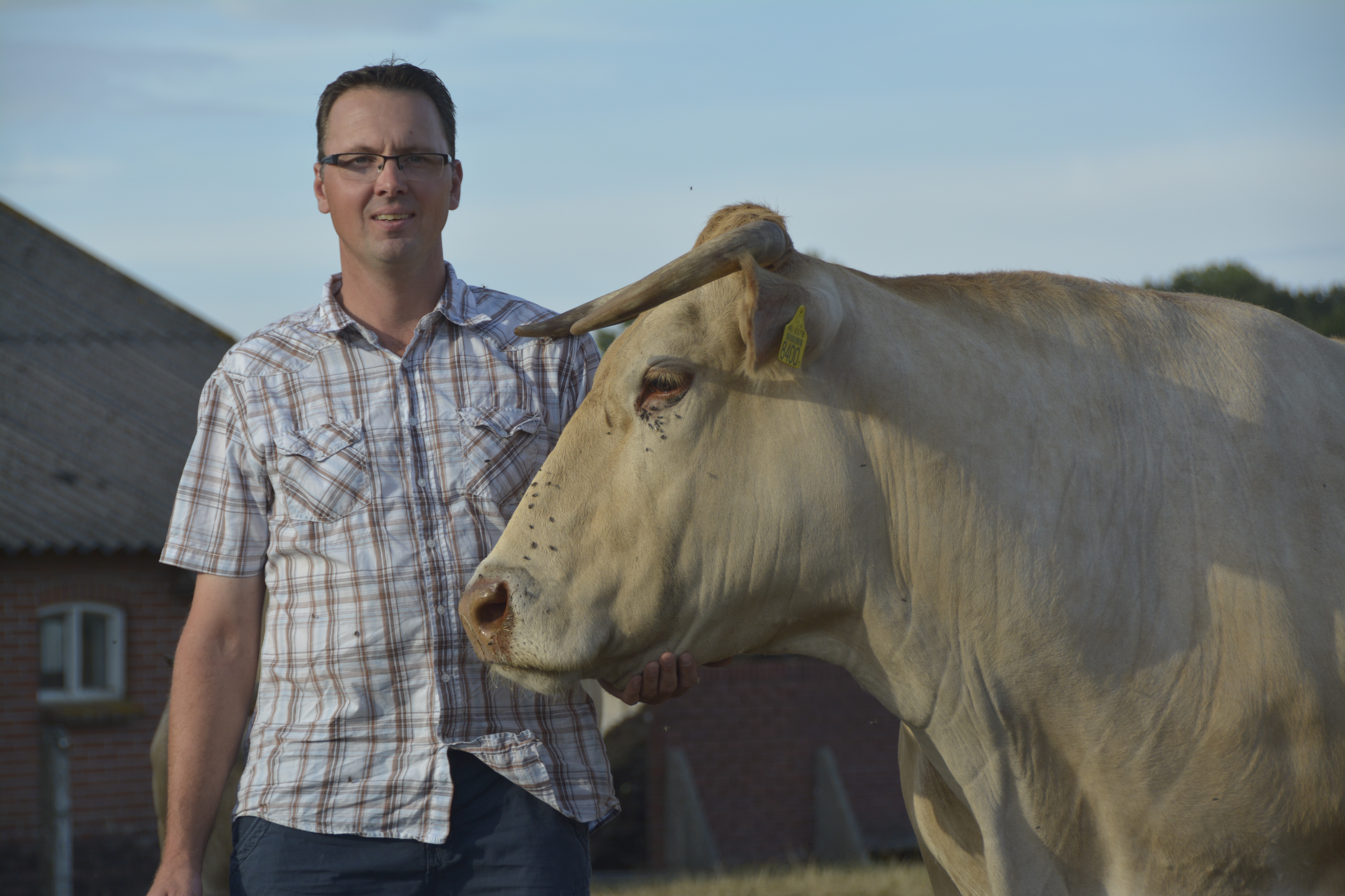 Ondernemer en passie voor de Blonde d'Aquitaine, Willy Pierik