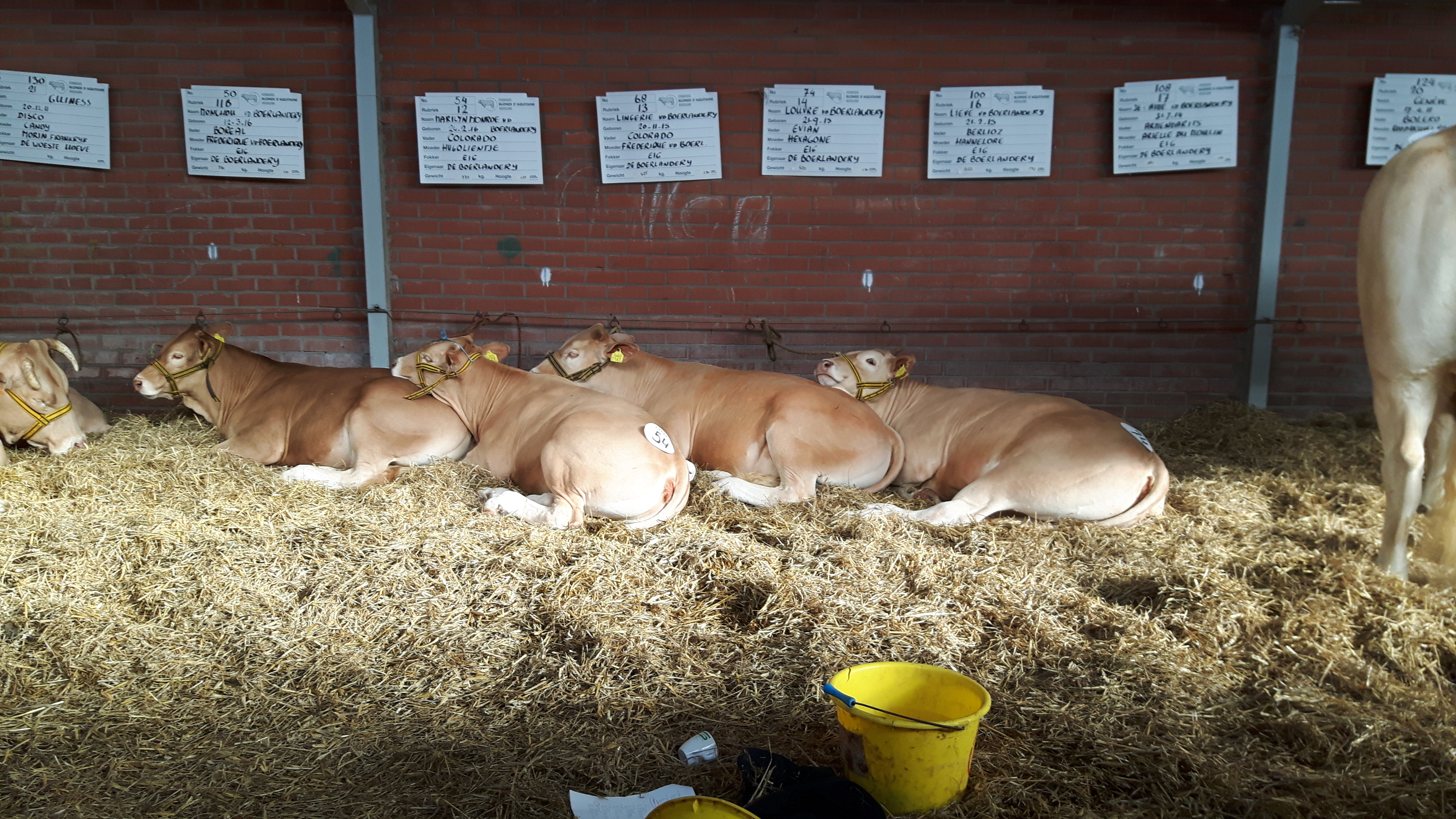 Rubrieken Nationale Mariënheem  27 oktober