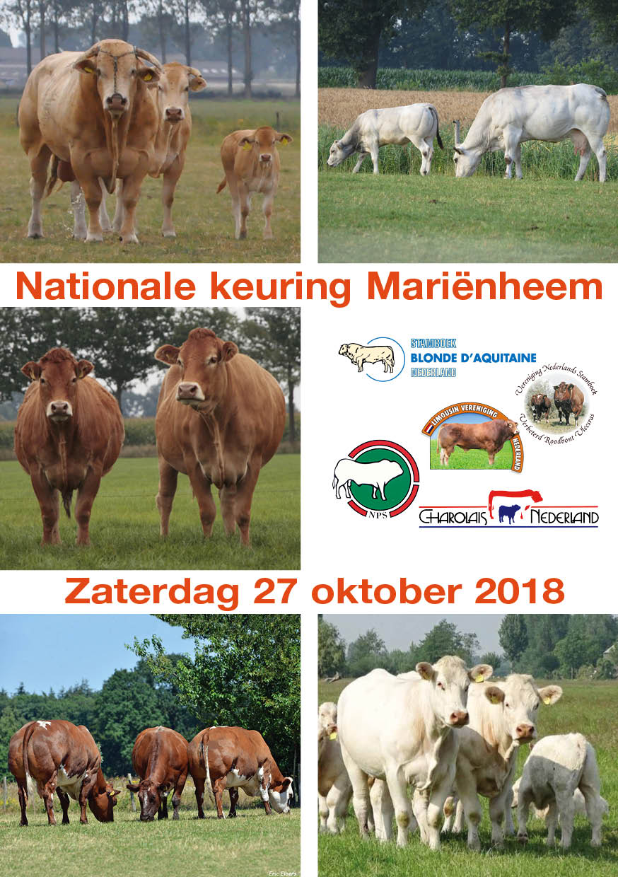 Organisatie Nationale heeft er zin in