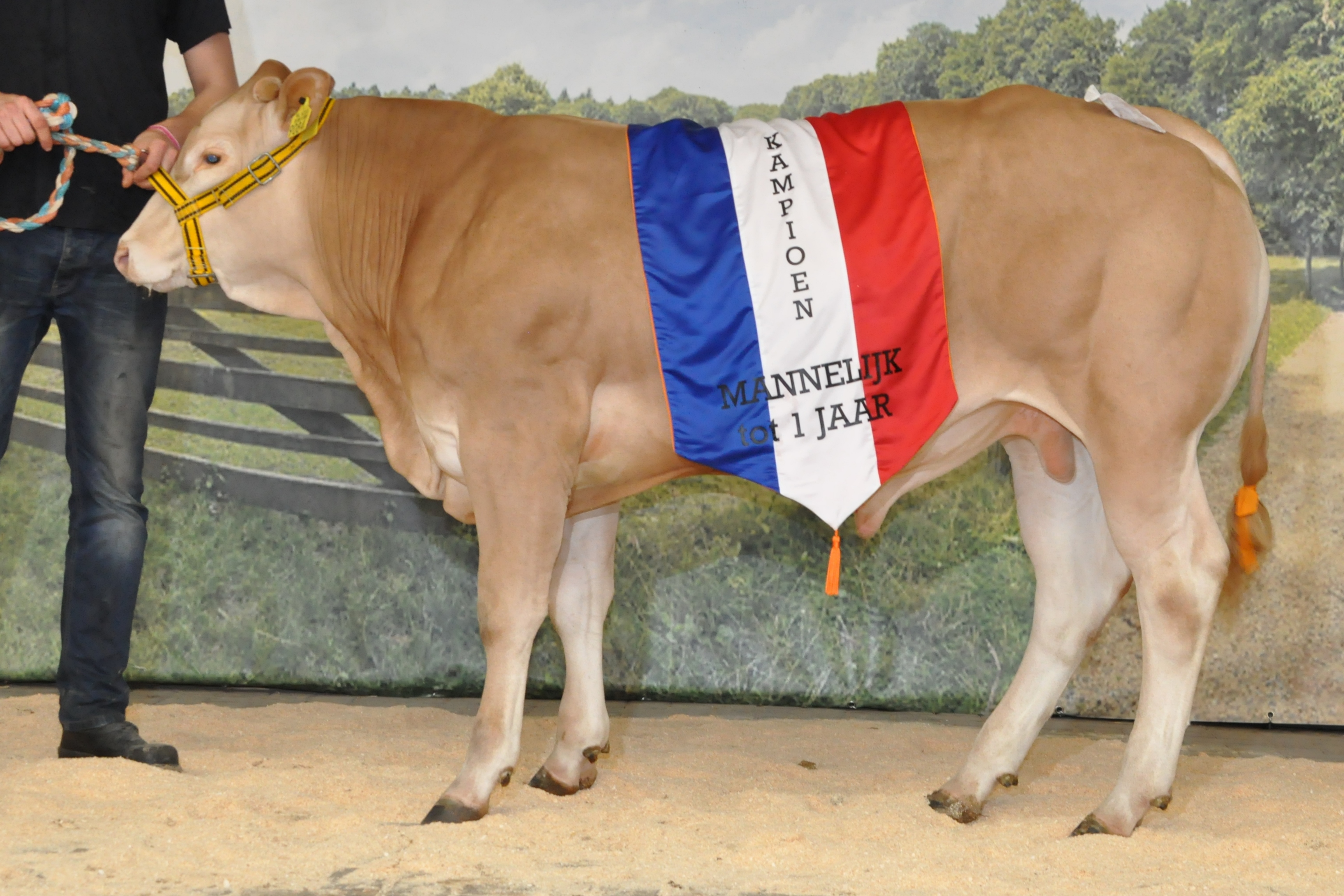 De kampioenen van Mariënheem  in beeld.