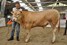 Olympus vd Woeste Hoeve