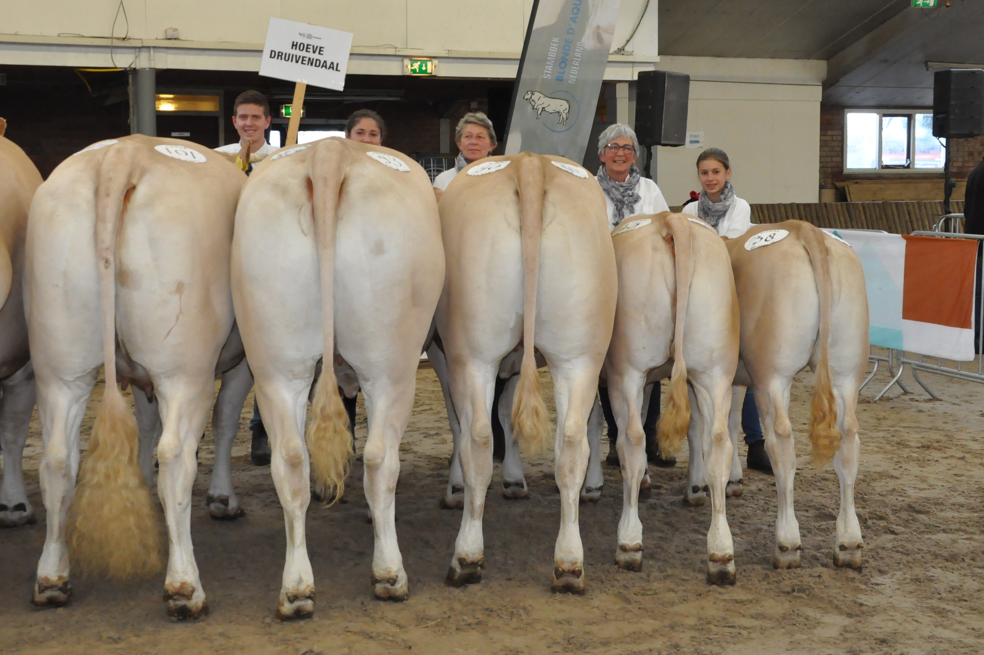 Bedrijfsgroepen van hoog niveau
