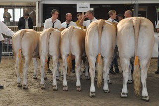 groep Le Moulin