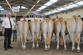 groep Jan Eggerink