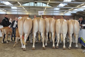 groep De Woeste Hoeve