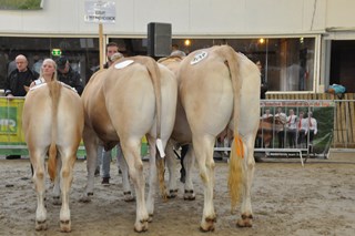 groep Erve Wiecherdinck