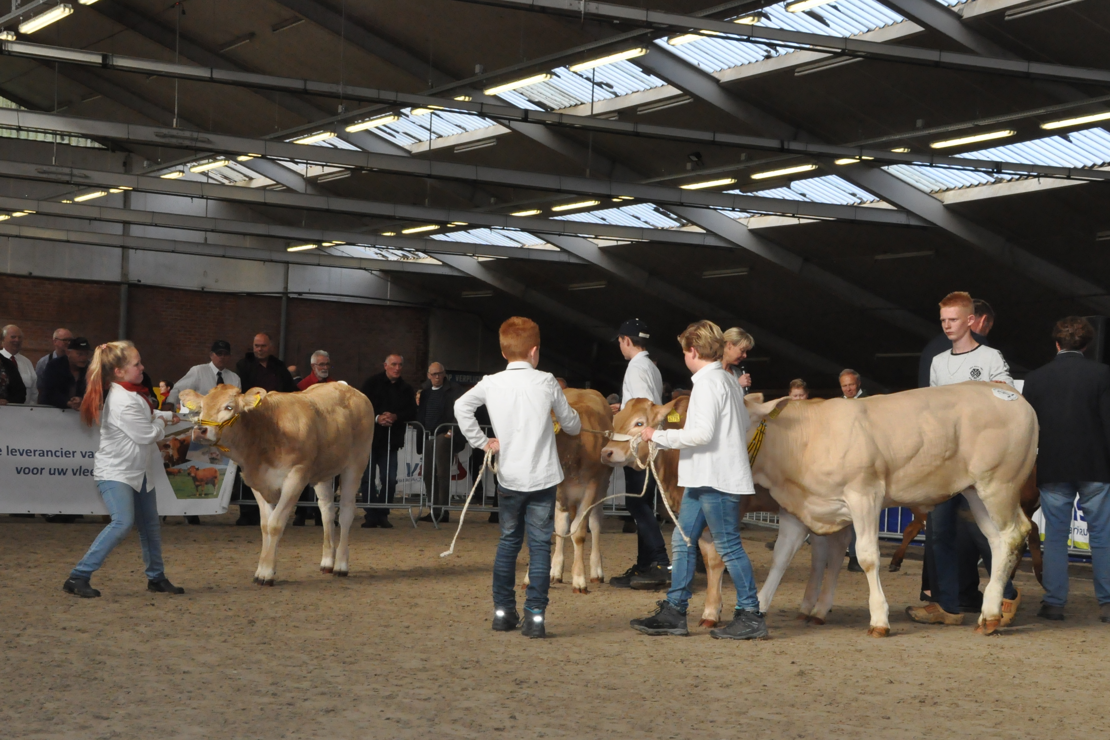 De jeugd volop in actie op de keuring in Mariënheem  