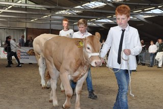 kinderen 2