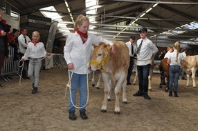 kinderen 3