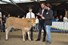Roan Slot en jury