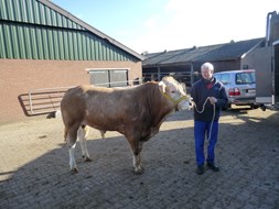 BAC Nimo voor vertrek