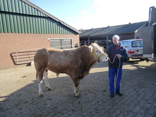 BAC Nimo voor vertrek