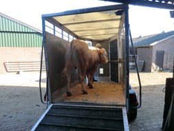BAC Nimo in veewagen