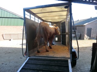 BAC Nimo in veewagen