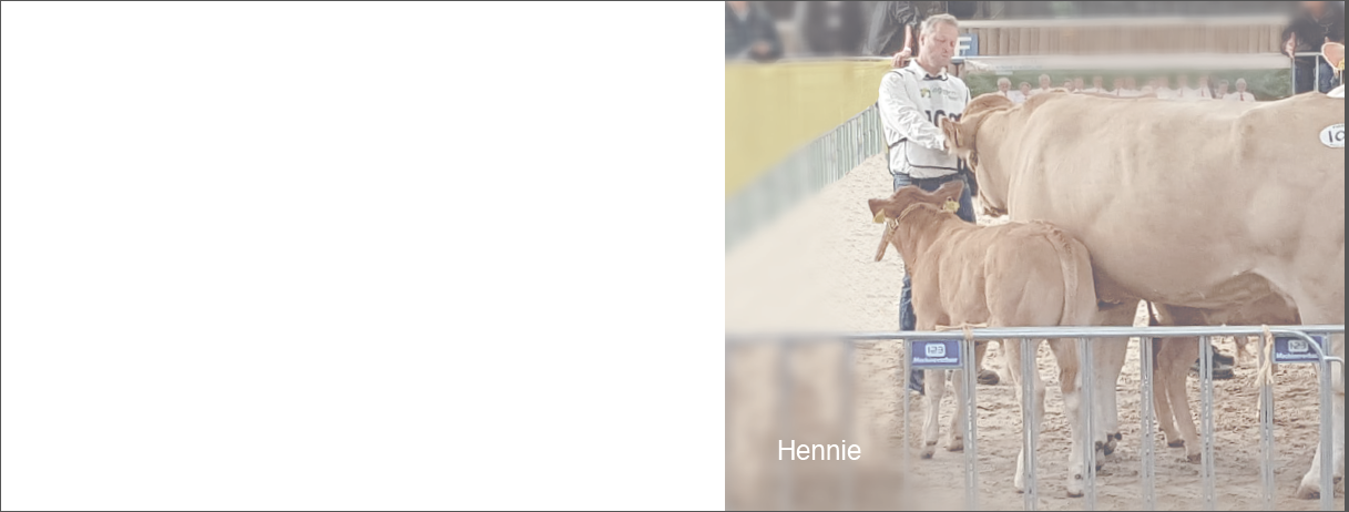 Hennie Tielbeke overleden