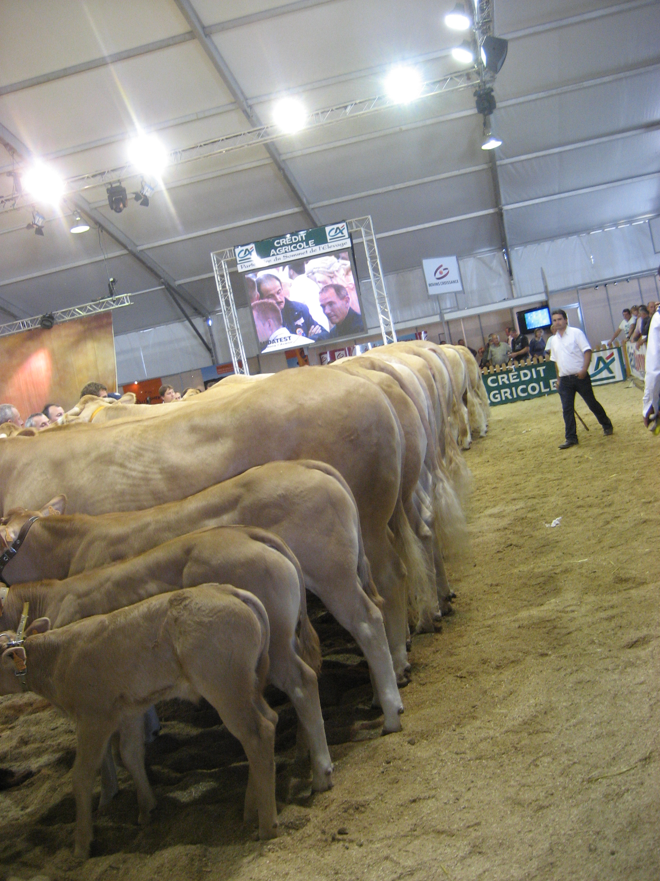 Franse nationale keuring 2019