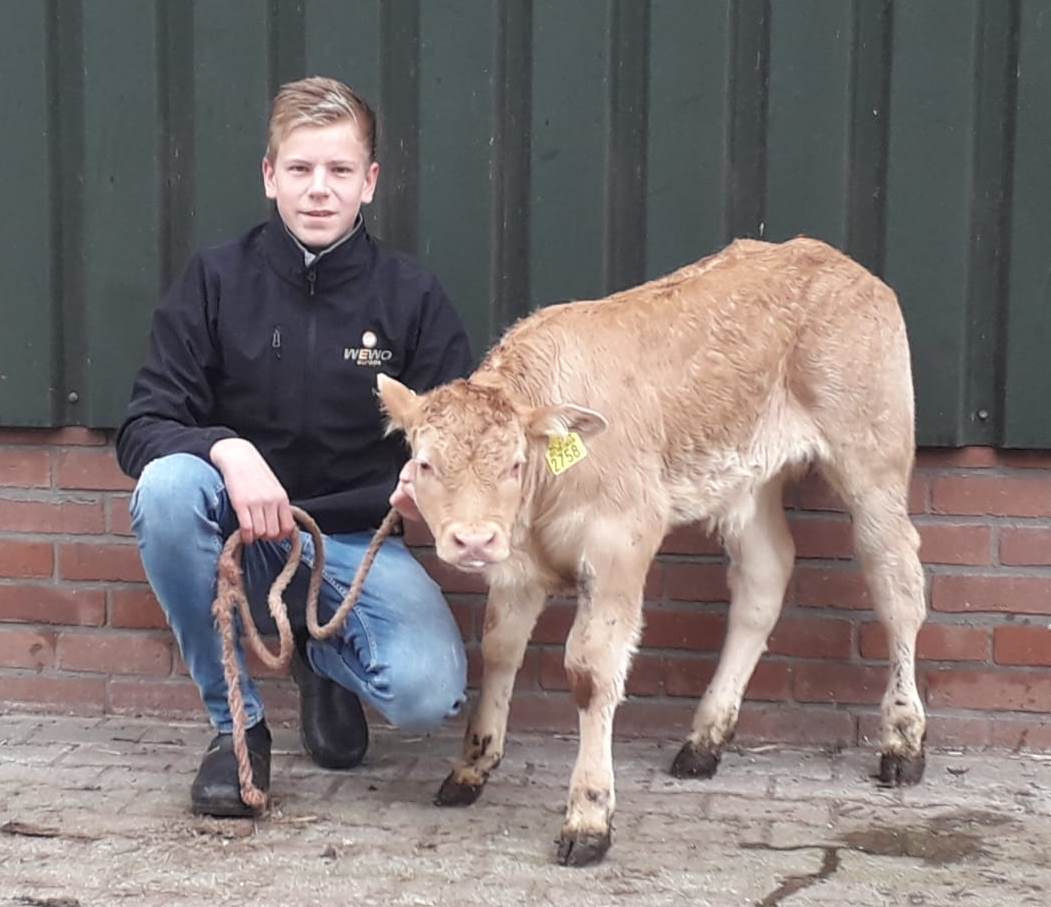 Jong en gek op Blond