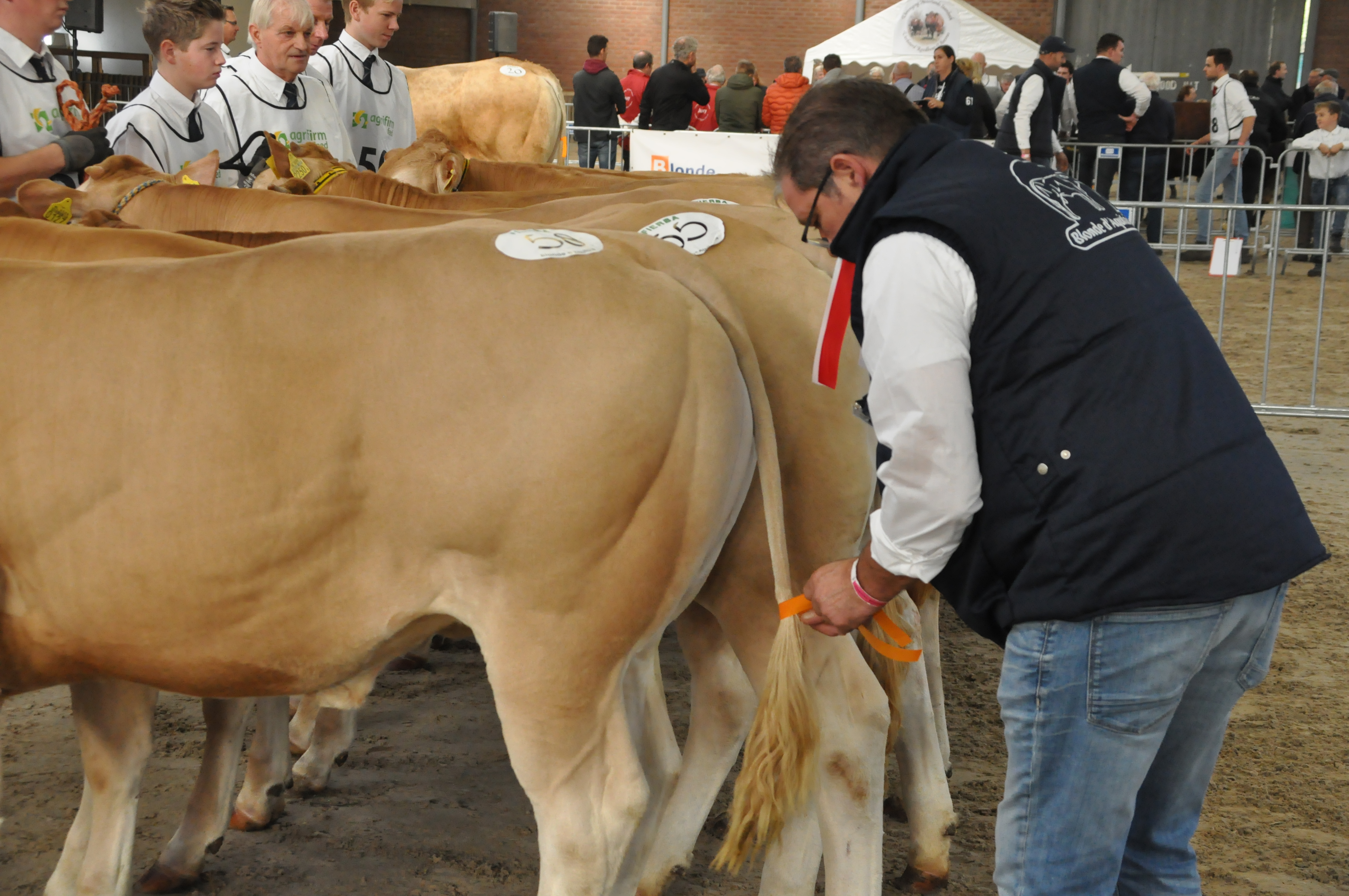 Terugblik Nationale met uitslagen