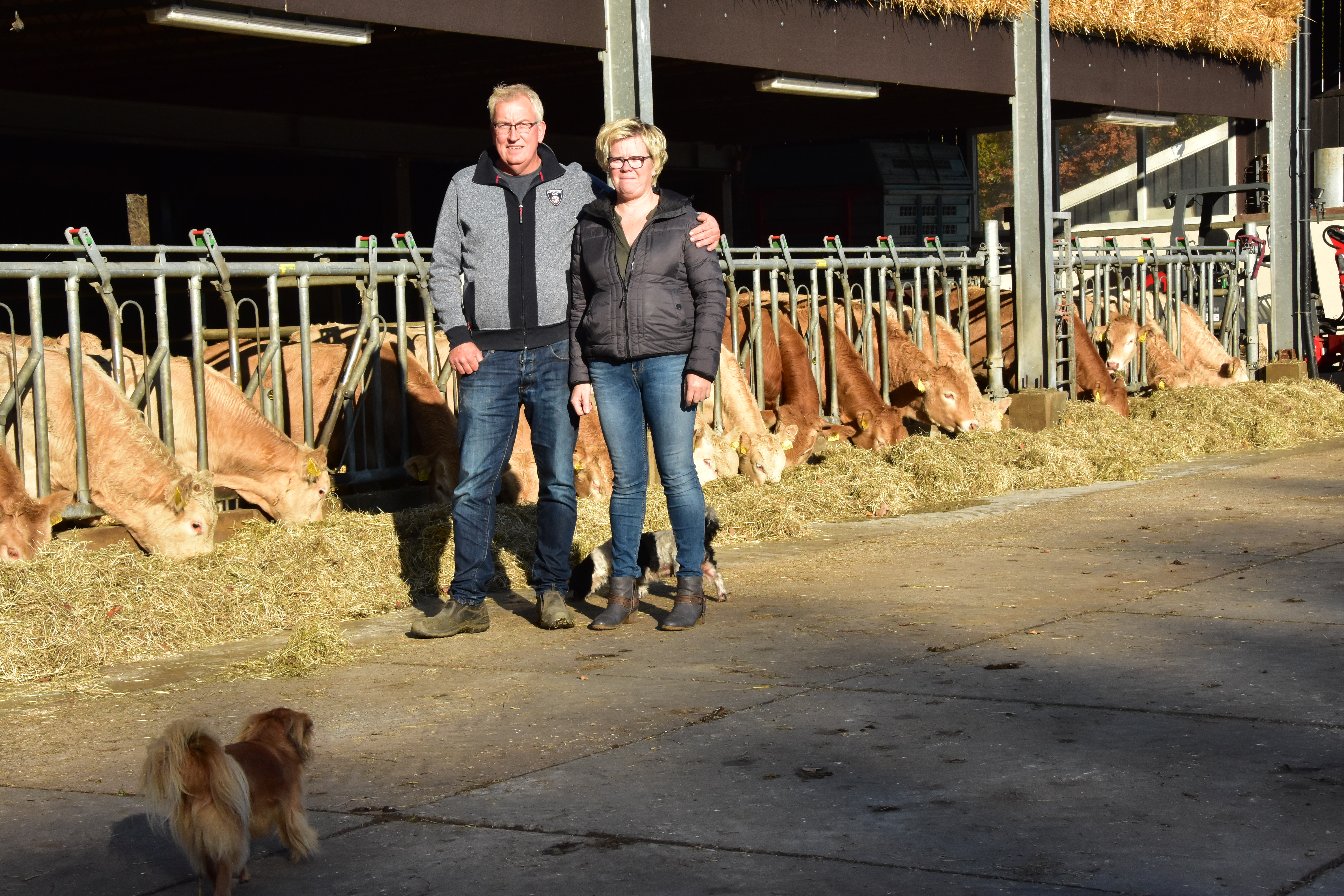 Familie Rietman boert op Landgoed Hackfort in Vorden