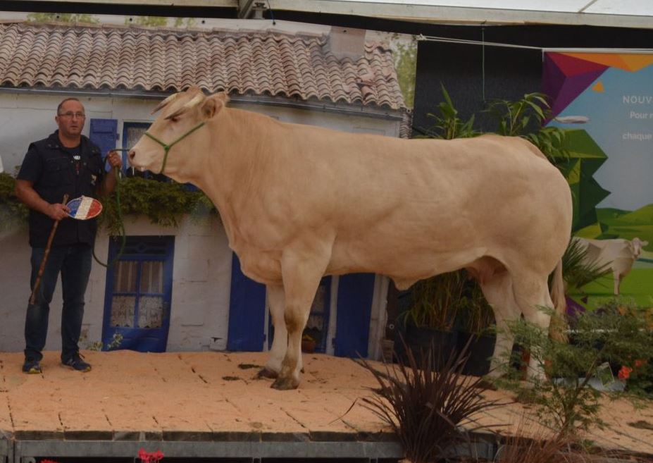 Terugblik Moncoutant