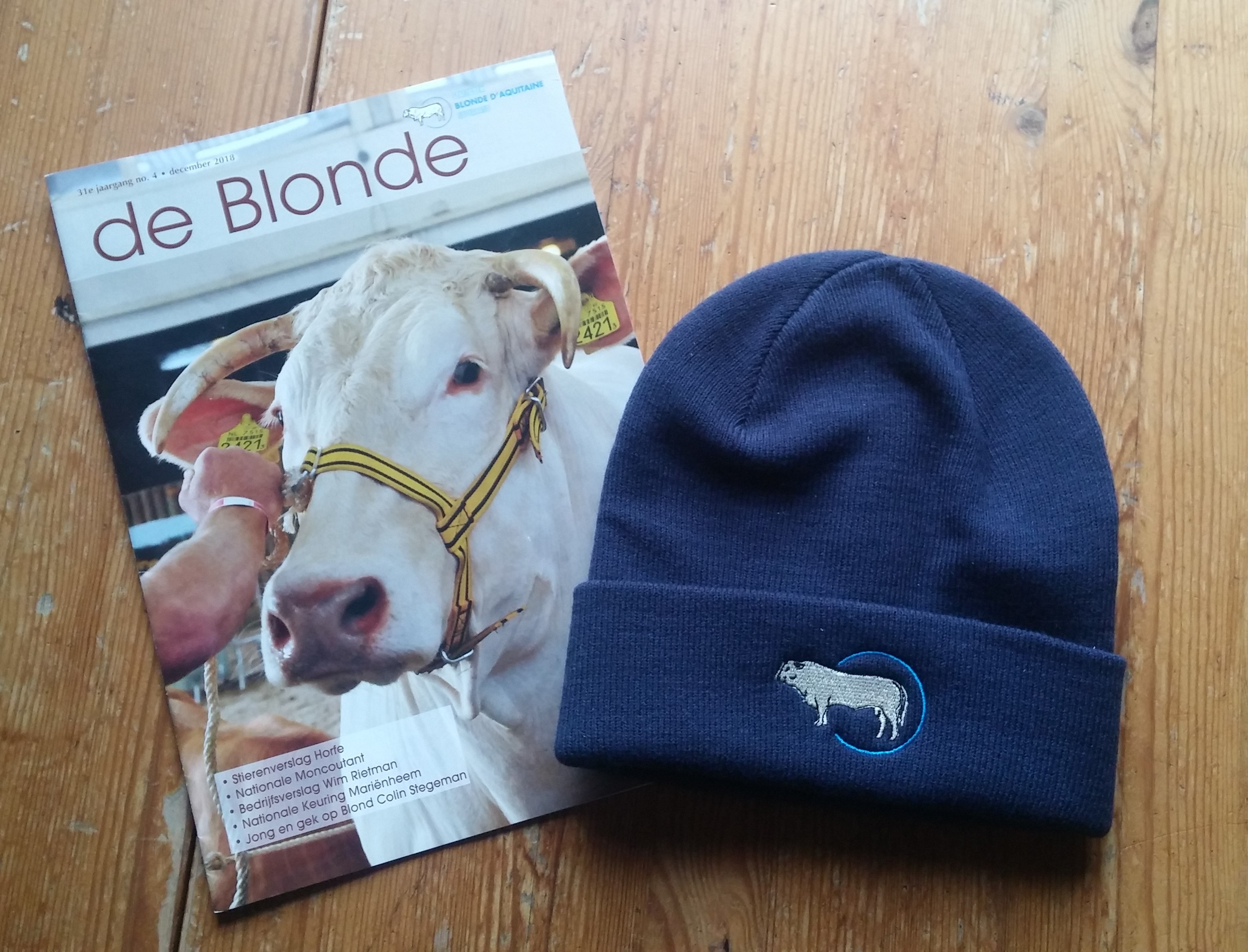 Goed gemutst het nieuwe jaar in