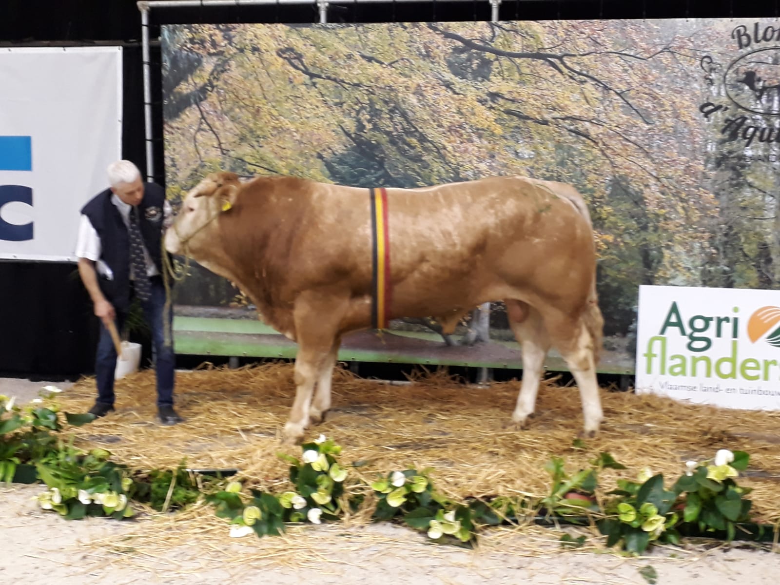 BAC Nimo kampioen op Agriflanders in Gent