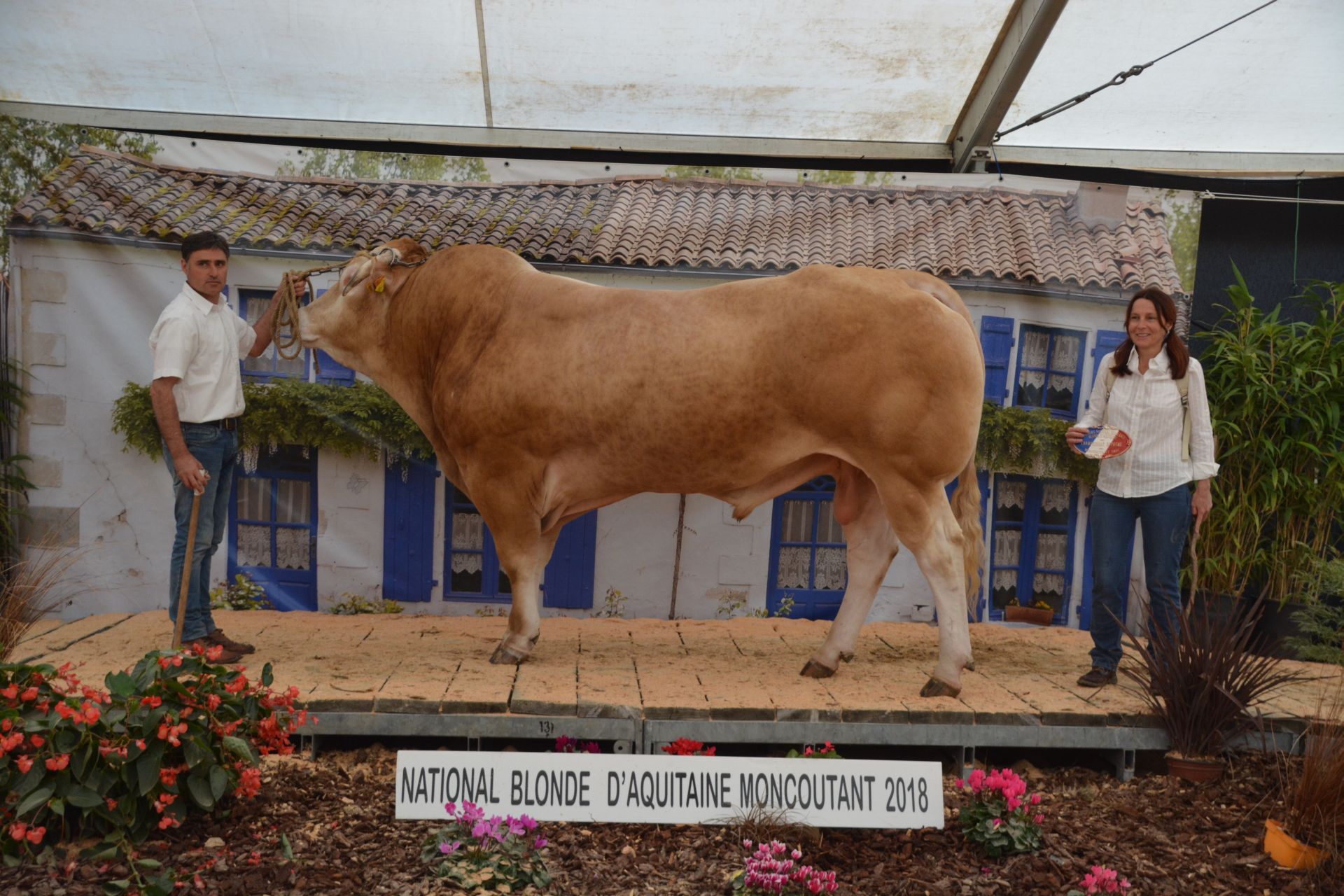 Selectie SIA 2019 bekend