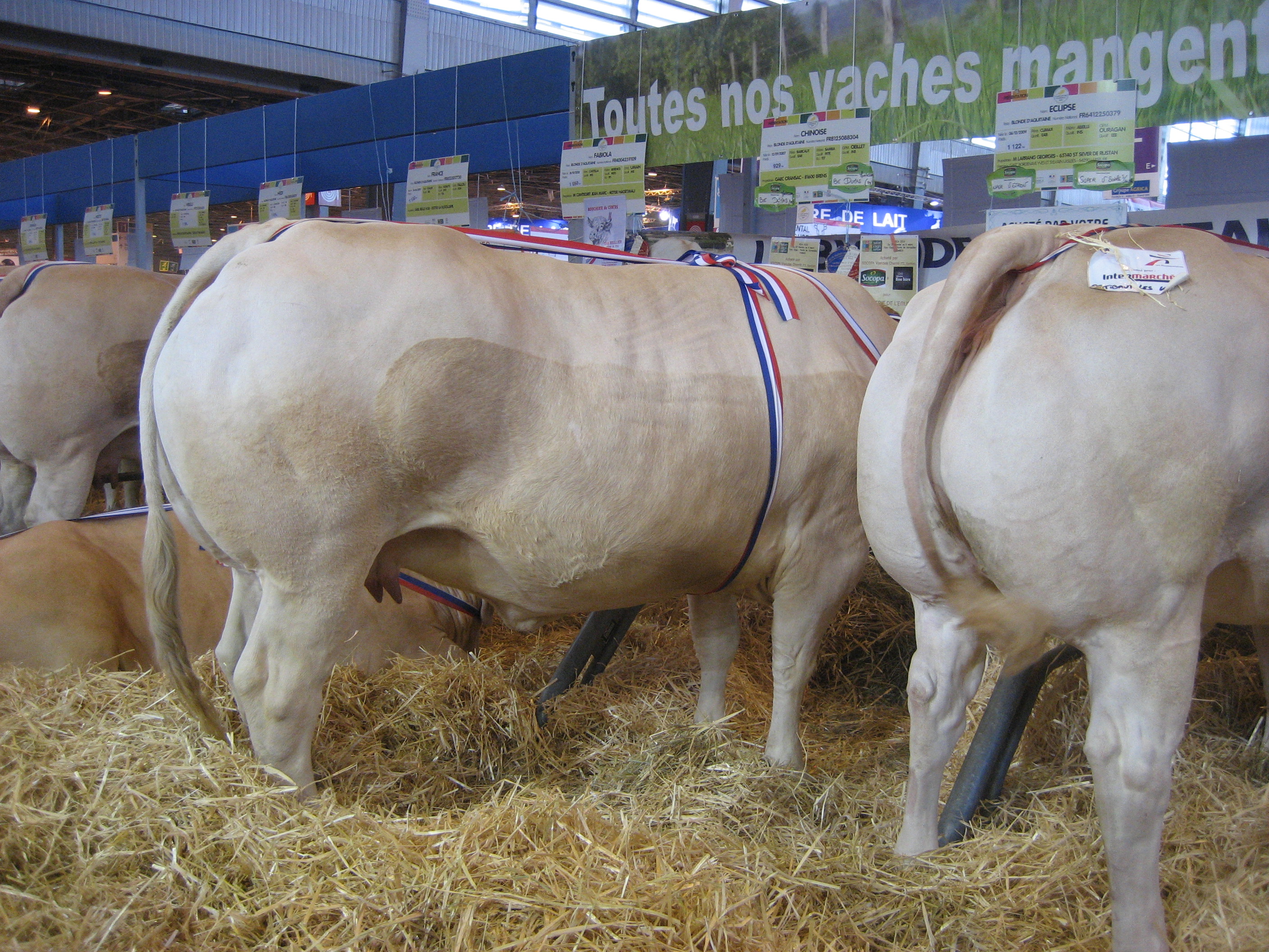 Veiling op de SIA LIVE te volgen