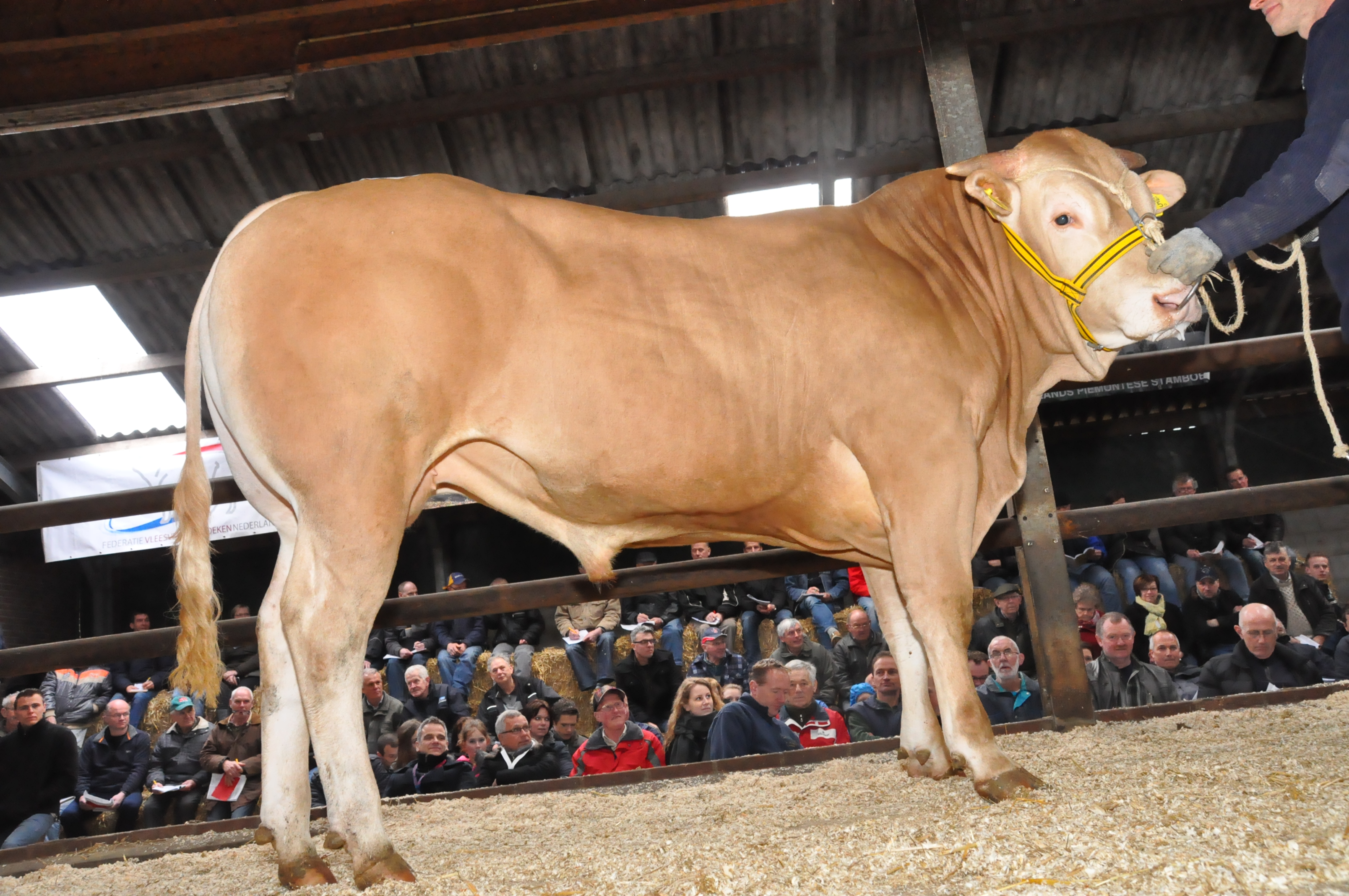 Groei per dag op COT