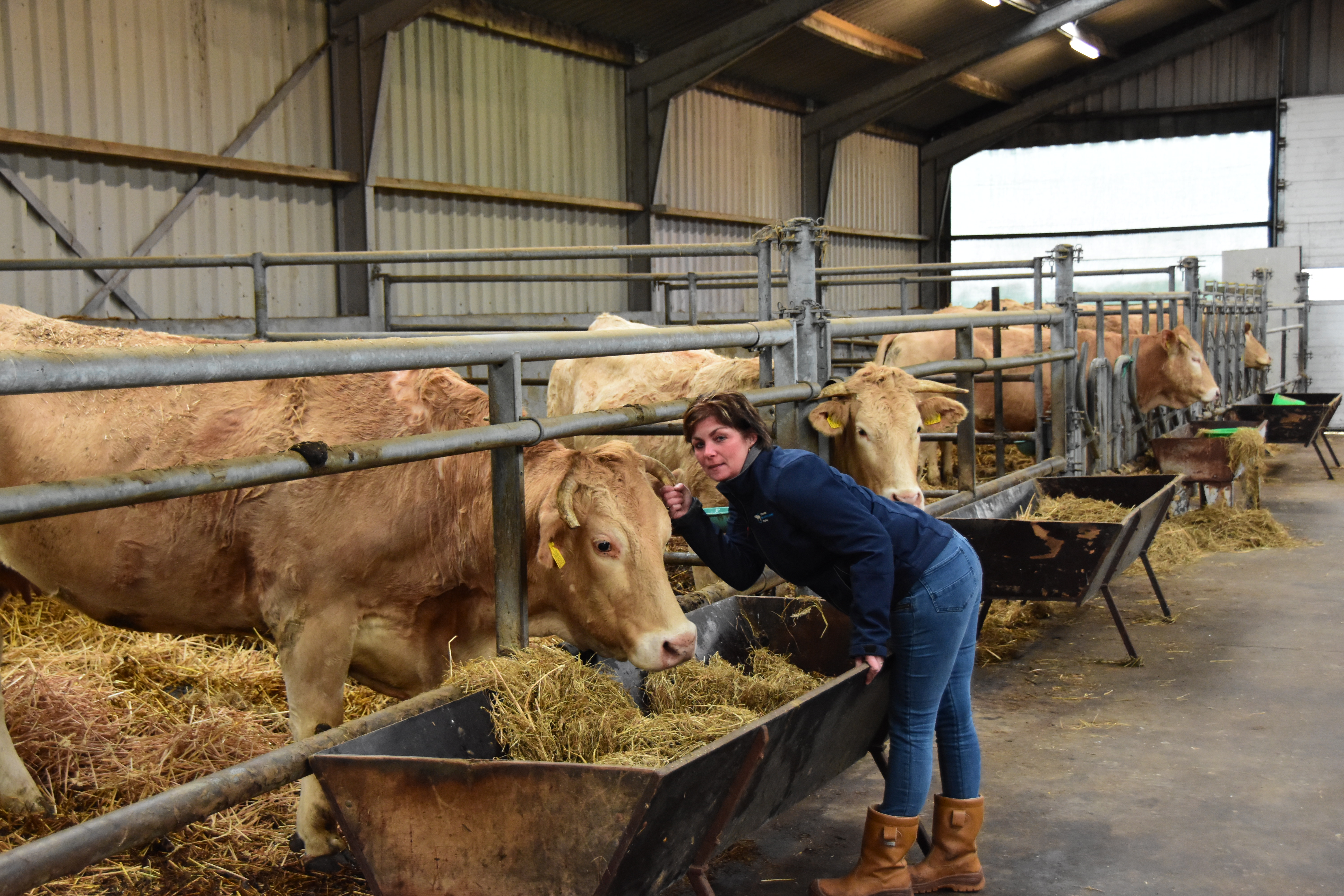 Jan en Greet zijn trots op hun veestapel