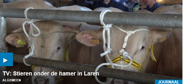 BAC-veiling op Nieuwe Oogst TV