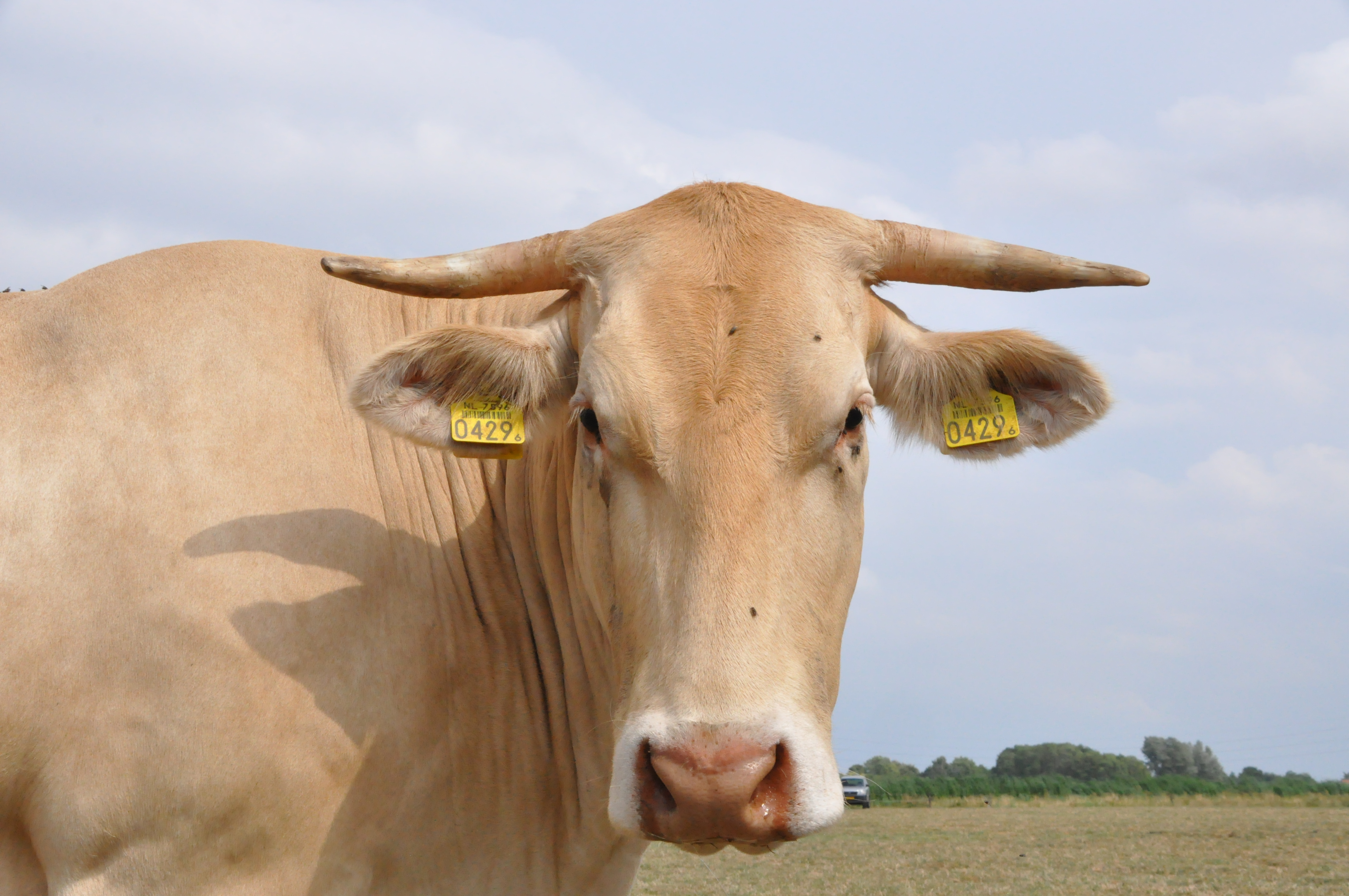 Nieuwe ronde op het COT