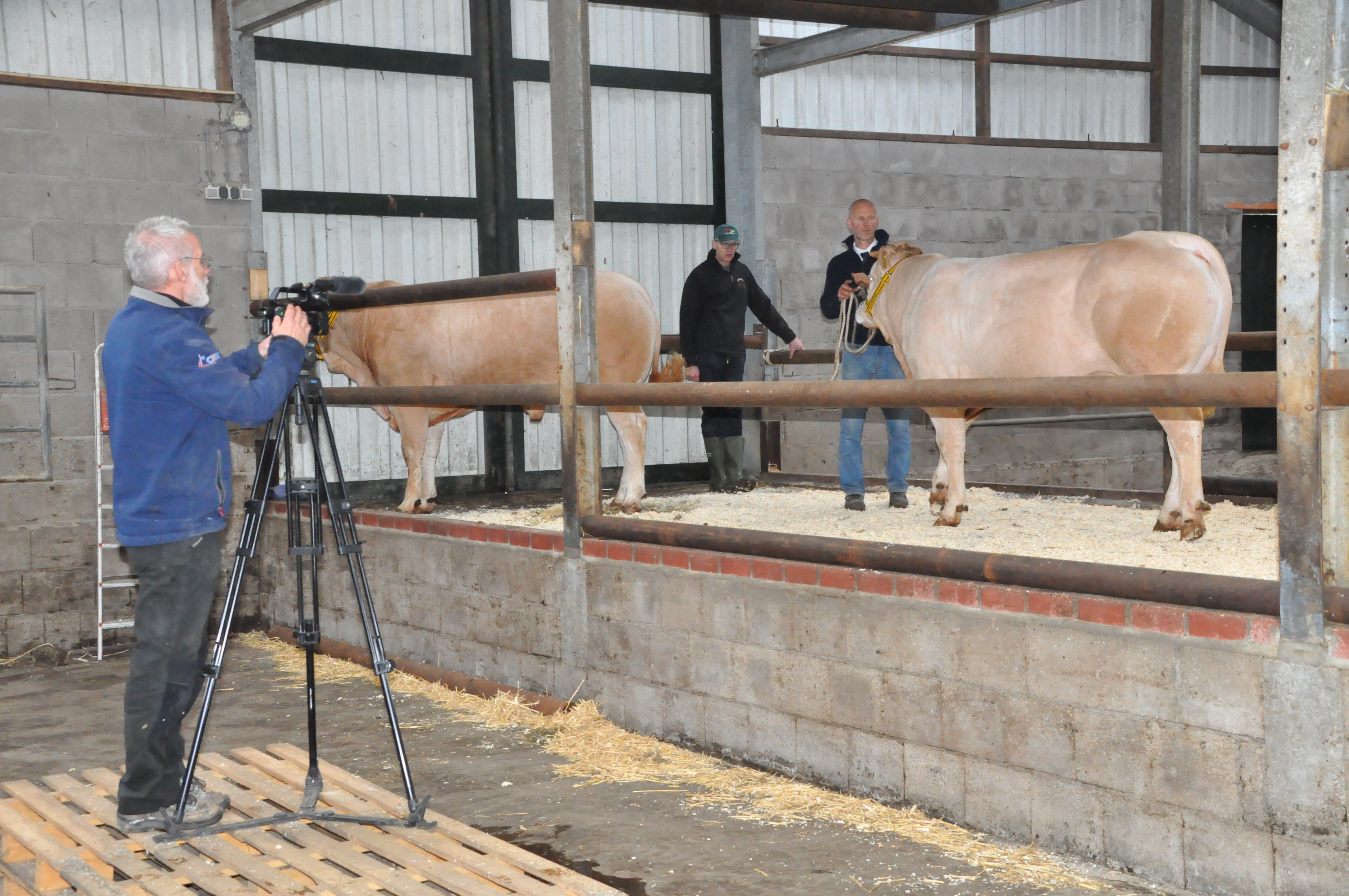 Brainstormavond COT voorziet in behoefte