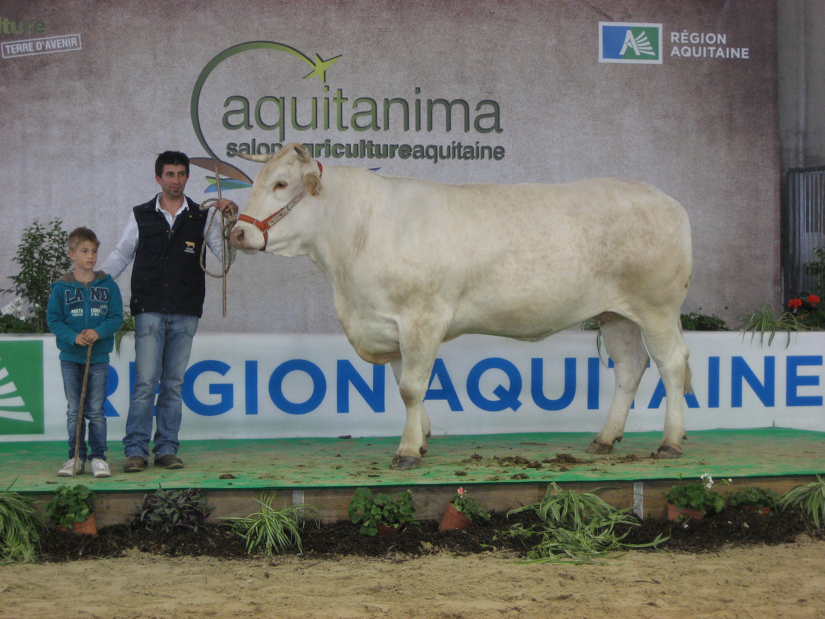 Catalogus Aquitanima