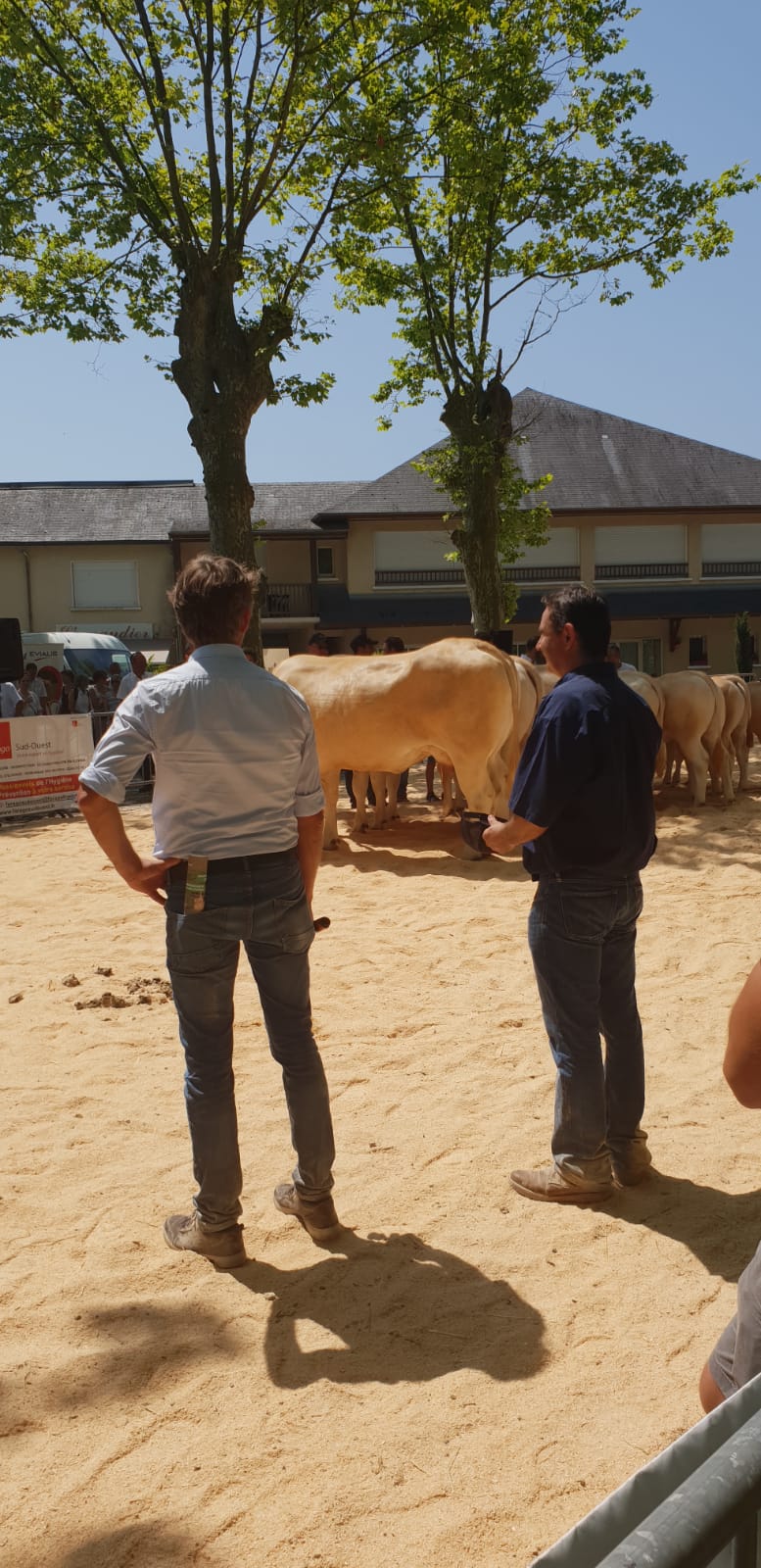 Gerritsen keurt in Franse Pyrénées-Atlantiques.