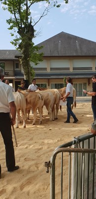Marcel Gerritsen in Morlaas