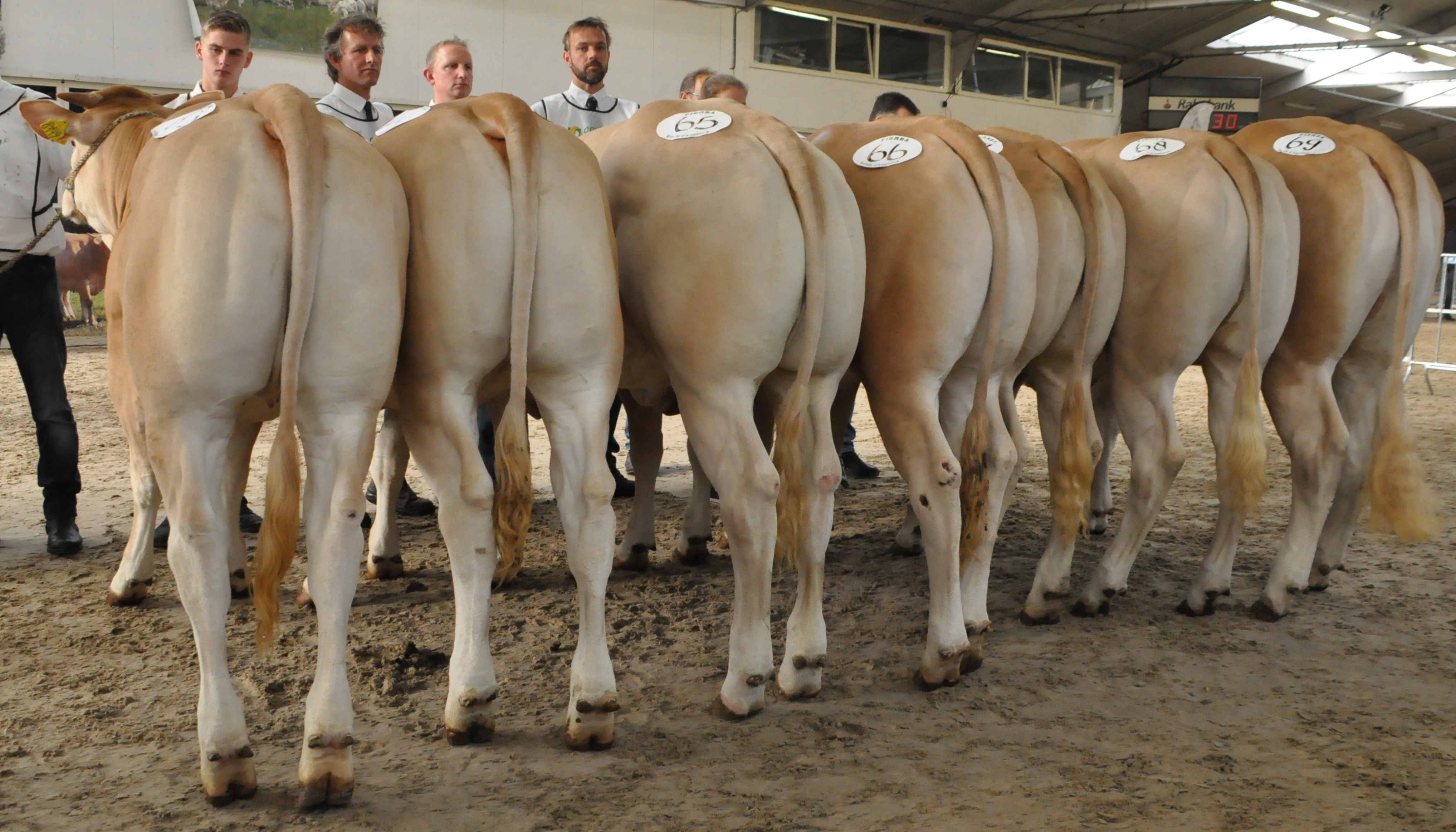 Fokwaarden exterieur 2019