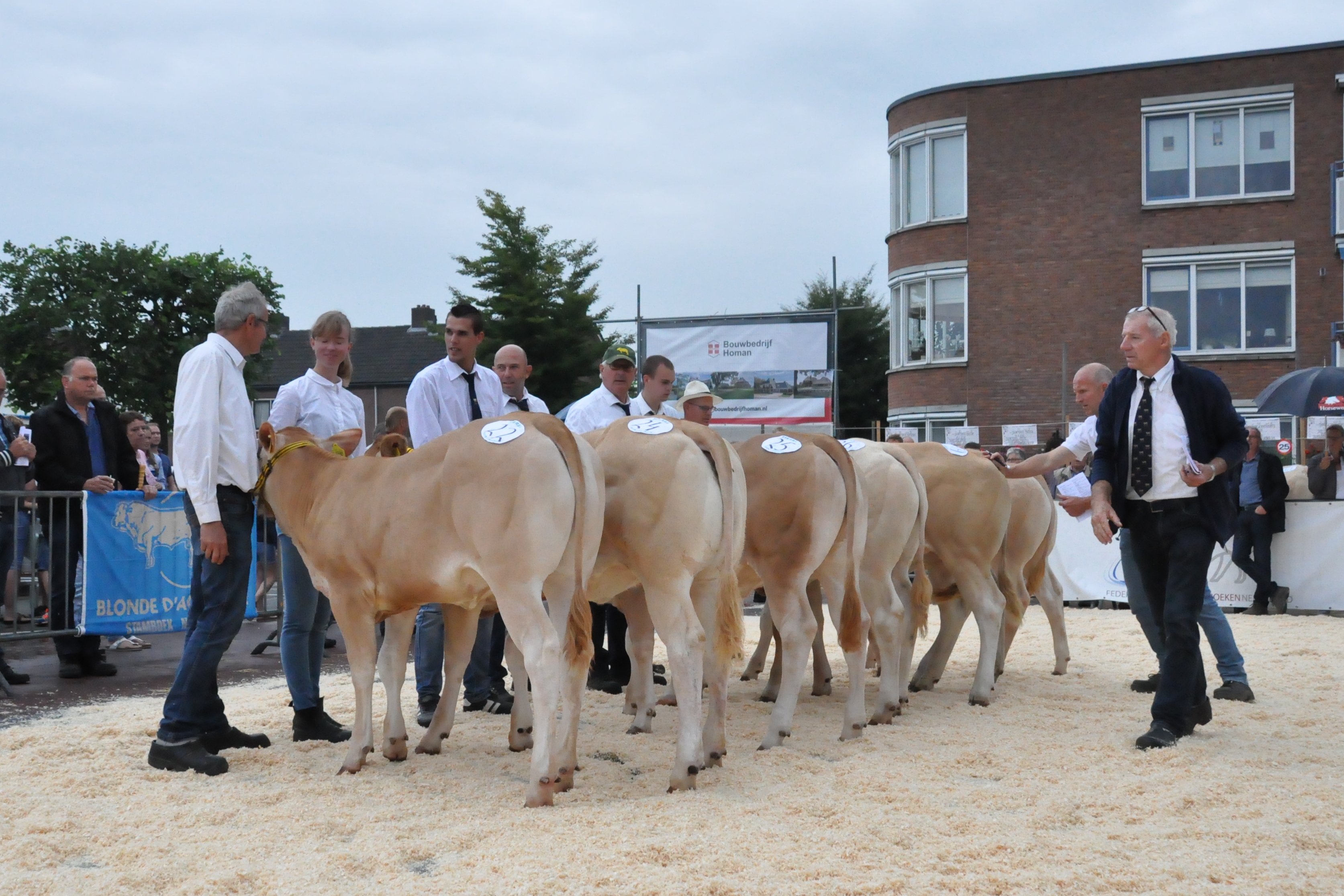 Indeling rubrieken Enter