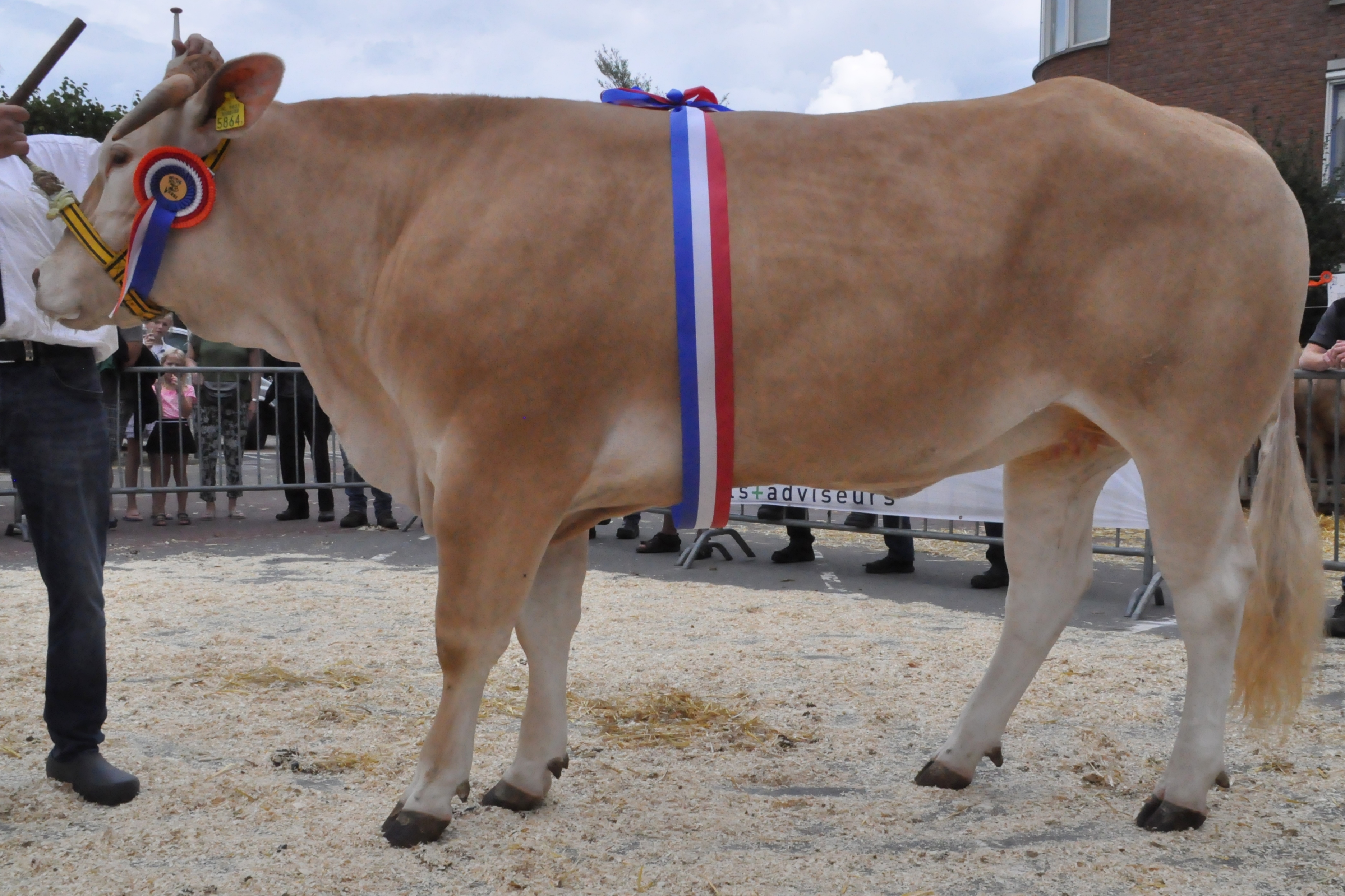 Uitslagen keuring Enter