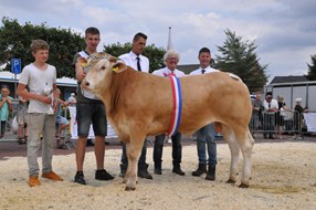 Orlando vd Woeste Hoeve