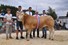 Orlando vd Woeste Hoeve