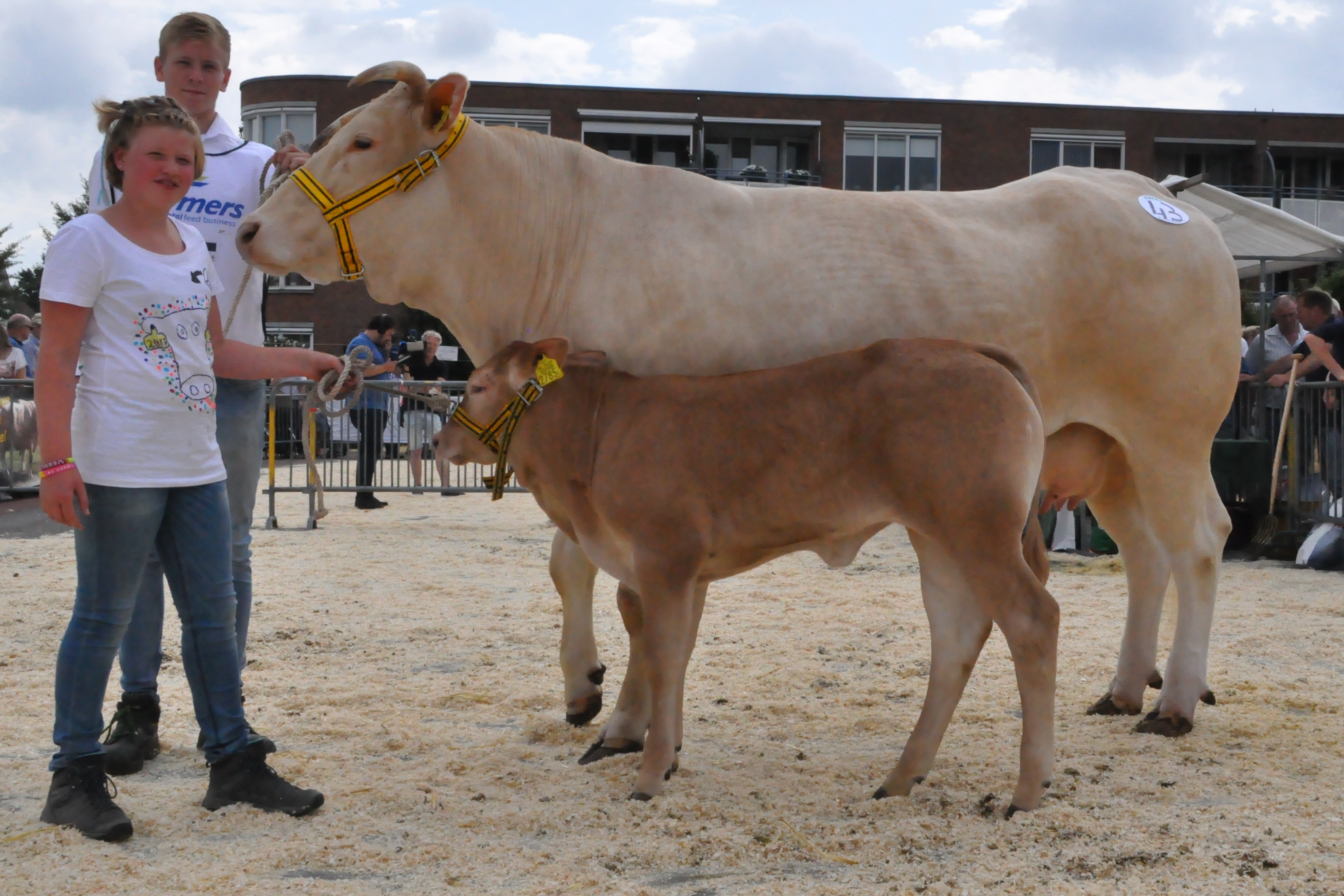De kampioenen van Enter in beeld