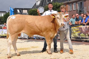 Orlando vd Woeste Hoeve Mister Toekomst
