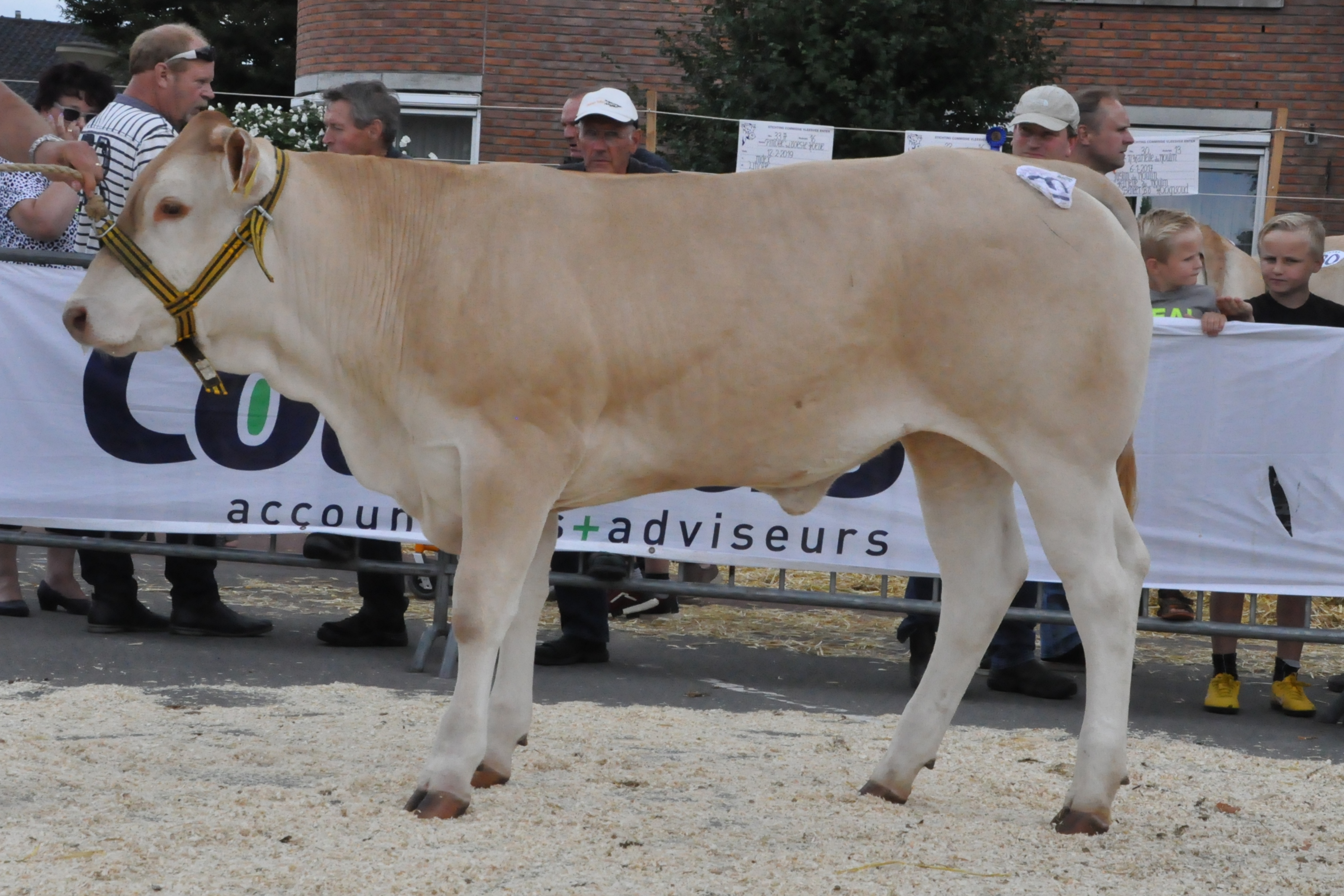 Reservekampioenen Enter in beeld