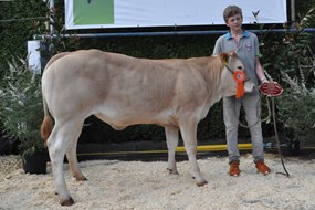 Olientje vd Woeste Hoeve