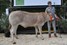 Olientje vd Woeste Hoeve