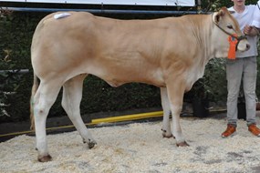 Oletta vd Woeste Hoeve