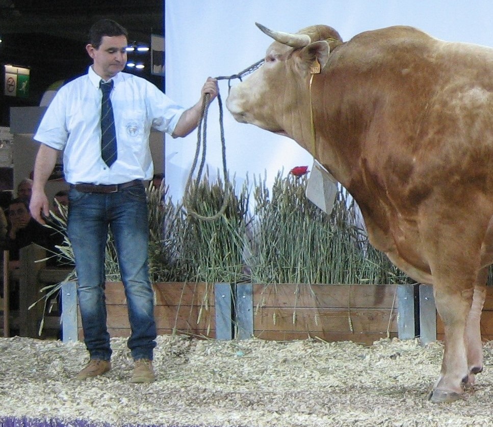 Jury op de NVM bekend