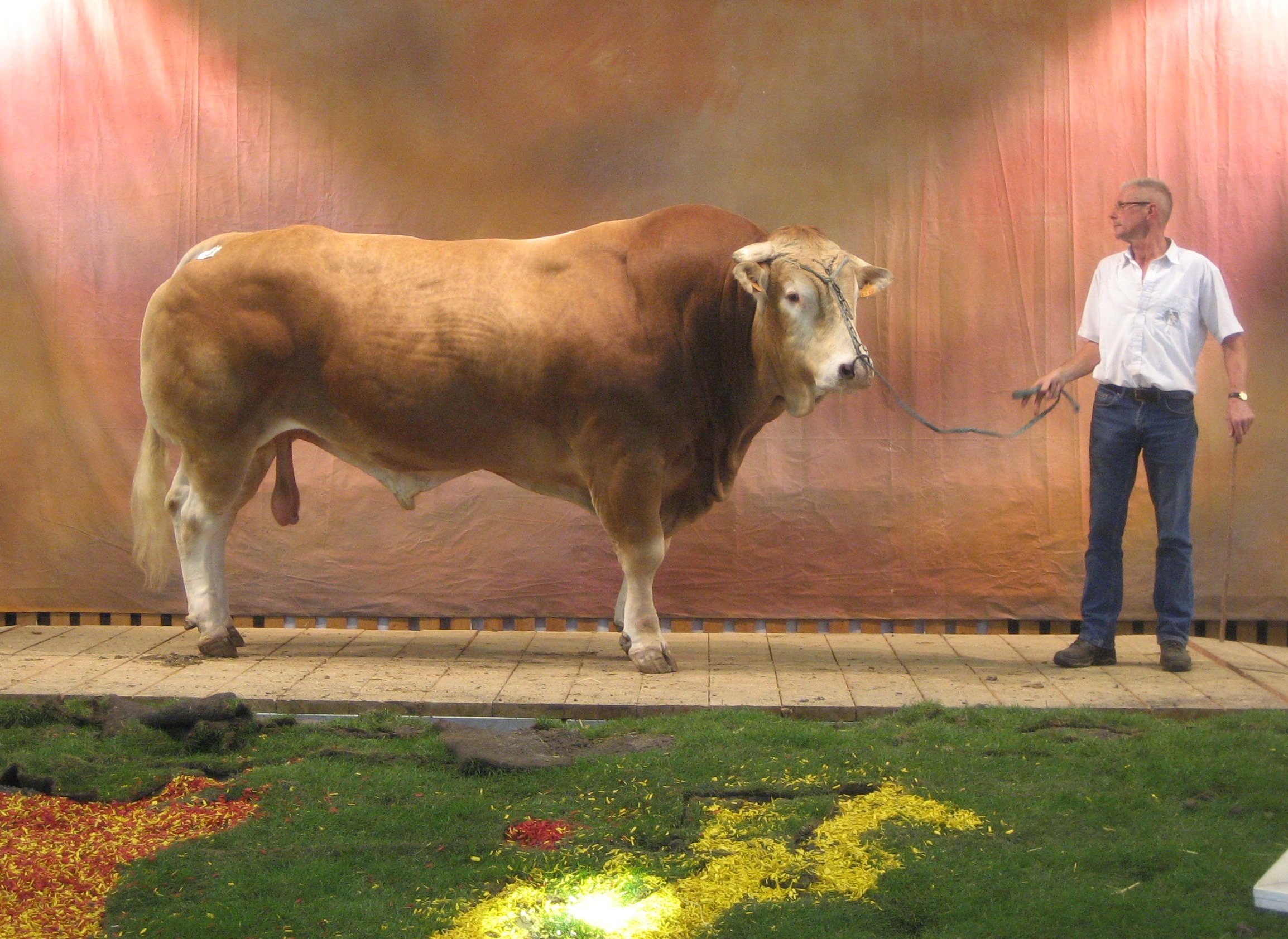 Nog één kamer beschikbaar in Clermont-Ferrand