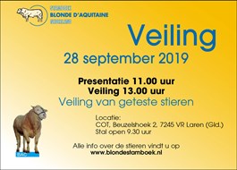 BLONDE%20VEILING%20SEPT2019